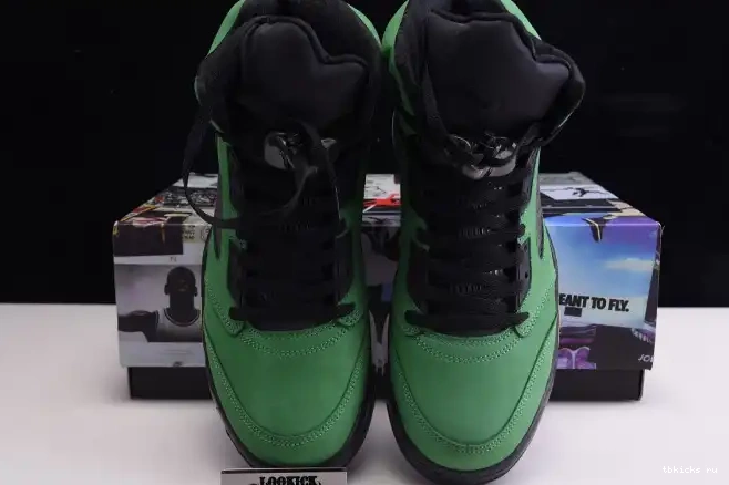 Cheap TB Oregon 5 Air Ducks CK6631-307 Jordan SE 0625